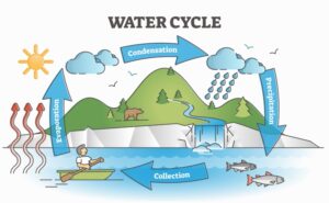 What is The Source of Energy in The Water Cycle