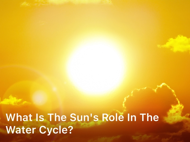 What is The Sun's Role in The Water Cycle