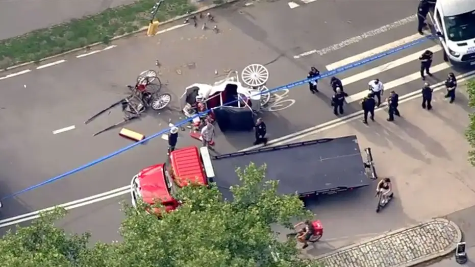 Carriage-accident-Central-Park-Fox-News-001