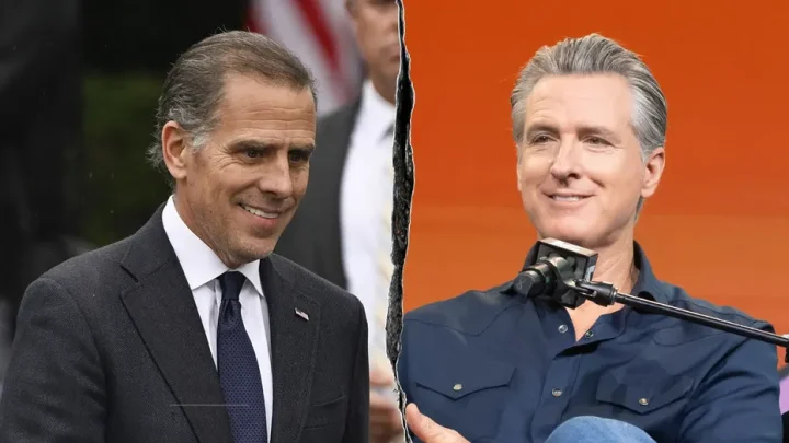 CNN panelist compares Hunter Biden, Gavin Newsom mash up to ‘weird Teenage Mutant Ninja Turtlesâ€™