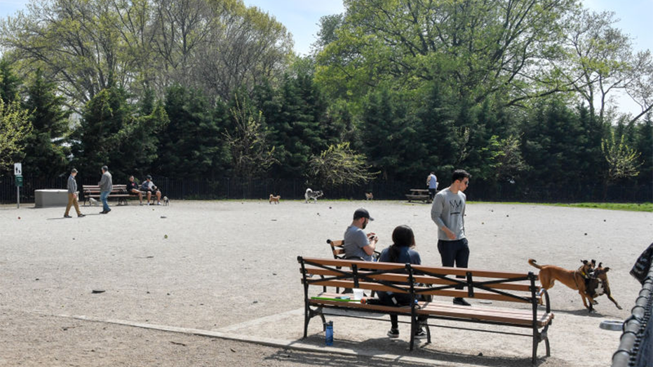 nyc-park