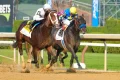 Belmont Stakes 2026 at Saratoga Race Course: Best bets, exotics, ‘Pick 5’ for the Grade 1 stakes races