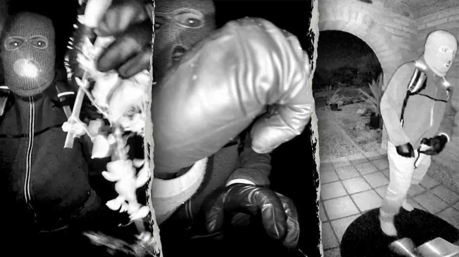 guthrie-alleged-suspect-grabs